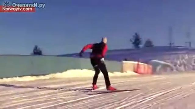 Увидел МЕДВЕДЯ !!!! смотреть онлайн