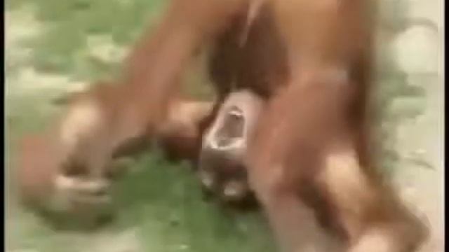 Хочет пить смотреть онлайн