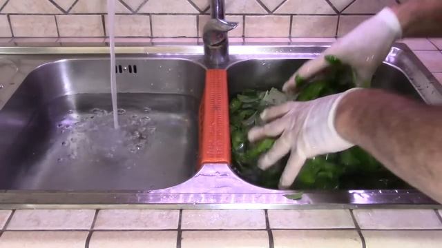 Piantare il BASILICO e PESTO alla genovese ,tutti i trucchi per farlo a casa -An amazing BASIL смотреть онлайн