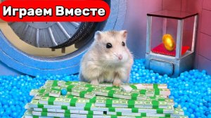 Лабиринт для Хомяка ! Умный Хомяк и ОГРАБЛЕНИЕ ХОМЯЧЕГО БАНКА 🐹💰 Видео для детей