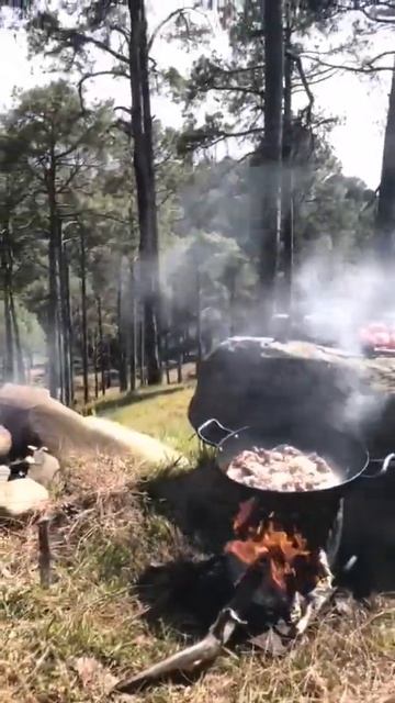 Mutton & Chicken Love in Wild #shorts #beta смотреть онлайн