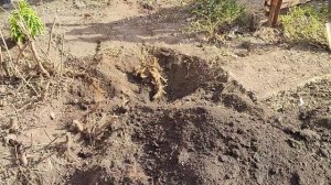 Мы справились. Ура. Жизнь на пенсии.