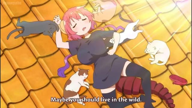 Cute dragon loli sleeping with cats~ #misskobayashidragonmaid #ilulu смотреть онлайн