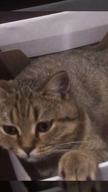 Пожелание к дню знаний #1сентября #тренды #super #caucasian #exclusive #family #позитивный #our смотреть онлайн