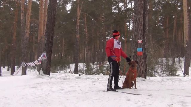 49 Эстафета. Пятая команда. Новосибирск. смотреть онлайн