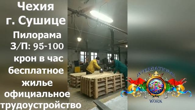 Работа на пилораме в Чехии смотреть онлайн
