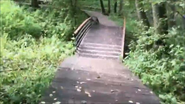 6 Б класс ГБОУ Школа №1315 г  Москвы, 2 кат