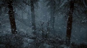 Зимняя страна чудес. Вьюга и метель в лесу . ASMR атмосфера для релаксации и сна