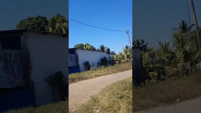 Рутина 25 декабря 2023. смотреть онлайн