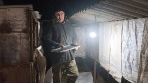 Новый квест: КТО остался без каши?! Как дела у наших НУТРИЙ. 20.03.25