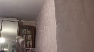 как кидают подушки разные люди