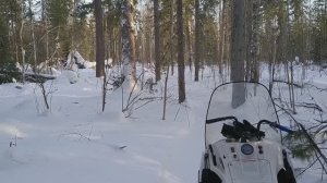 Охота продолжается. 2023 год. Мороз. Проверяю капканы.