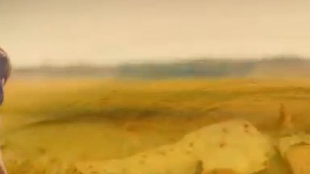 ПИСЬМО смотреть онлайн