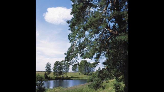 Оберег (obereg) - Сказ (skaz) смотреть онлайн