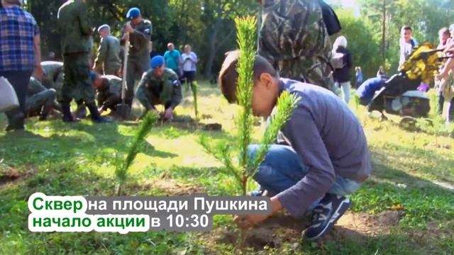 Наш лес. Посади свое дерево смотреть онлайн
