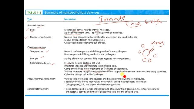 Immunology for DBT смотреть онлайн