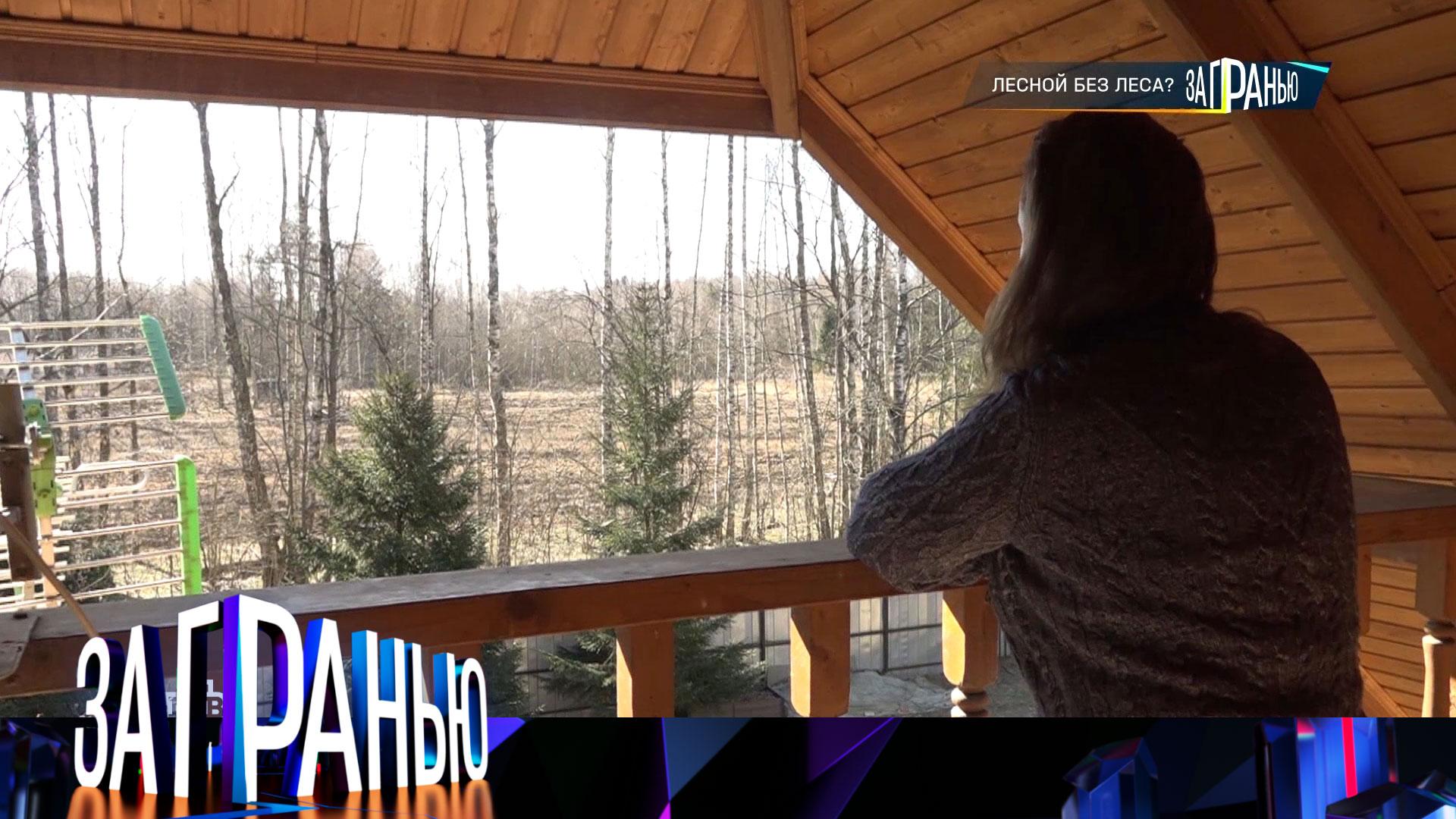 За гранью: Лесной без леса? | Выпуск от 1 апреля 2025 года