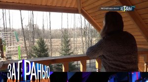 «За гранью»: «Лесной без леса?» | Выпуск от 1 апреля 2025 года