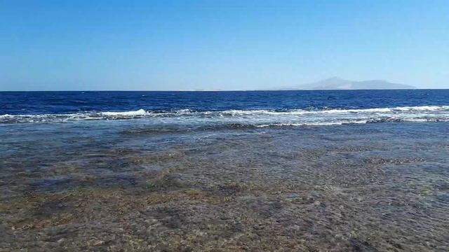 Шарм-эль-Шейх.Отель Нубиан Вилладж. 4 ноября 2021. Отлив на коралловом рифе. смотреть онлайн