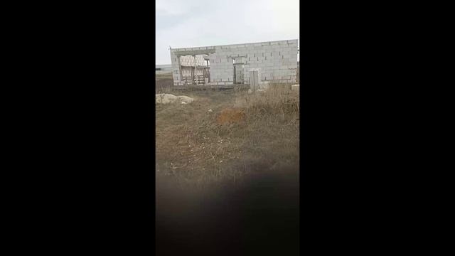 5856447 смотреть онлайн