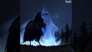 Ворон | Песня про ведьминого фамильяра