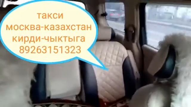 Такси москва-казахстан заезд выезд цена 4000р смотреть онлайн