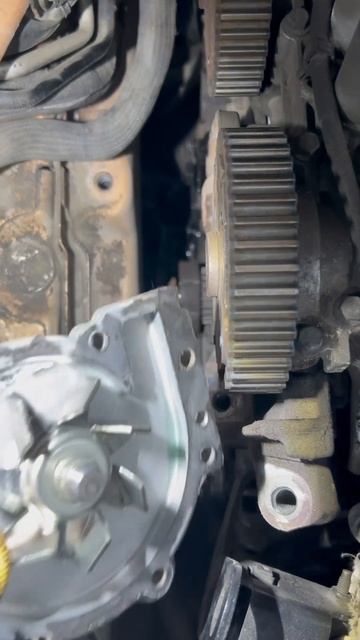 Замена ремня грм и помпы системы охлаждения на Volvo s60 t5. смотреть онлайн