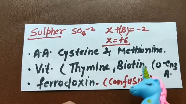 Importance of mineral nutrition II Easy tricks for neet @rashmimedico смотреть онлайн