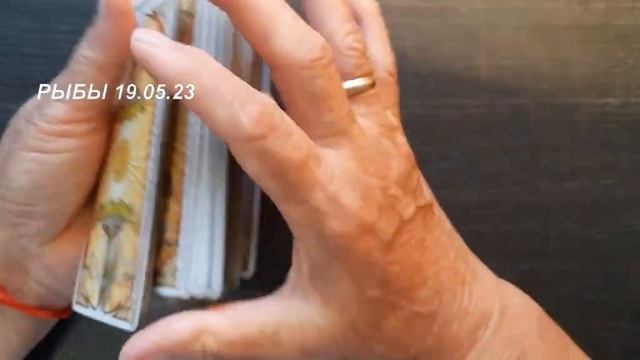 КАРТА ДНЯ РЫБЫ 19 05 23 смотреть онлайн