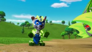 Paw Patrol - Coffin Dance Song (COVER)