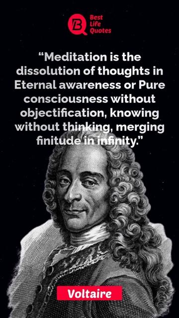 Meditation is the dissolution | Voltaire Quotes | whatsapp status | #shorts #quotes смотреть онлайн