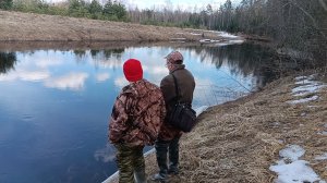 "Жизнь на пенсии".. Очень насыщенный сегодня был день.