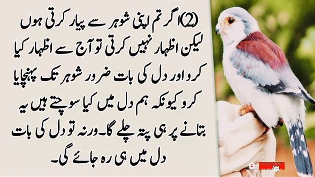Apne 3 Raaz Shoher ko Zaror Batana | Sufi quotes | Hasband wife | Bolty Alfaaz смотреть онлайн