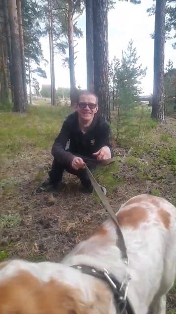 Собака друг человека смотреть онлайн