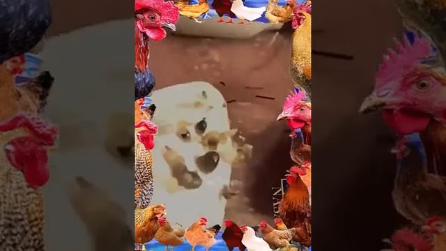 ВЫДАВЛИВАНИЕ ПРЫЩЕЙ ЧИСТКА КОЖИ🔥🔥 смотреть онлайн