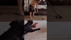 Александр Овечкин сыграл с 1,5 годовалым сыном в хоккей