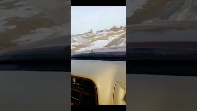 Тест драйв Great Wall Sailor