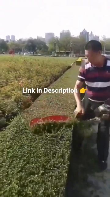 Hedge Trimmer  Available On Amazon