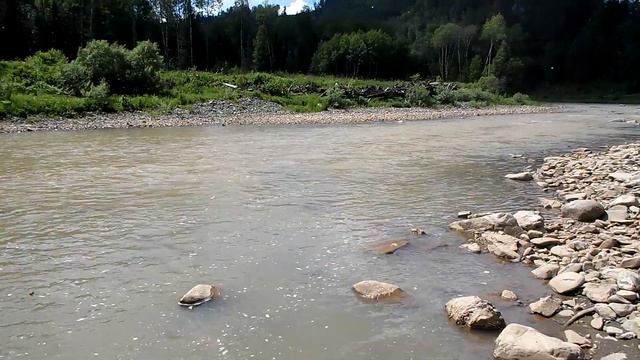 Грязный  Кундат - 6  ( 27.06.2019 г.)