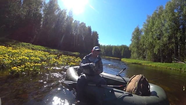 Хариус на спиннинг. Рыбалка на реке. смотреть онлайн