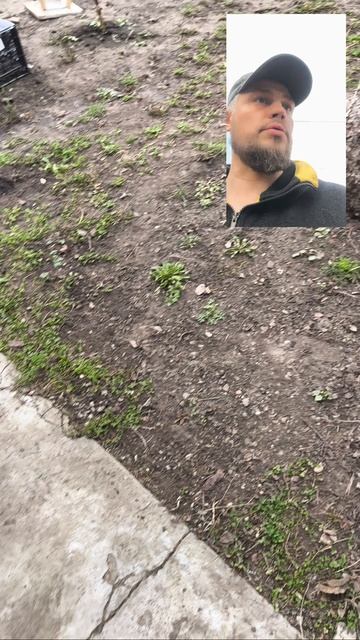 Весенняя работа в питомнике растений 😅 смотреть онлайн