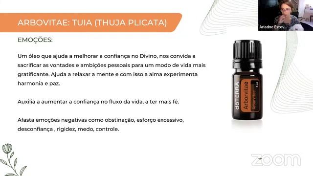 Educação Continuada com Ariadne Esteves смотреть онлайн