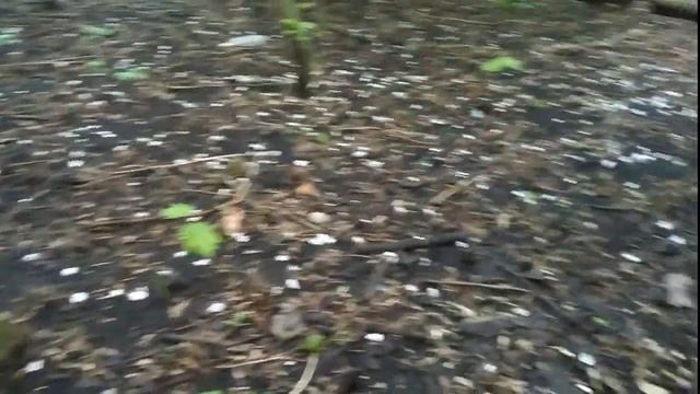 НАХОДКИ В ОГОРОДЕ ПРОСТО УДИВЛЯЮТ КОП ПОИСК С МЕТАЛЛОИСКАТЕЛЕМ 24 МАЯ смотреть онлайн