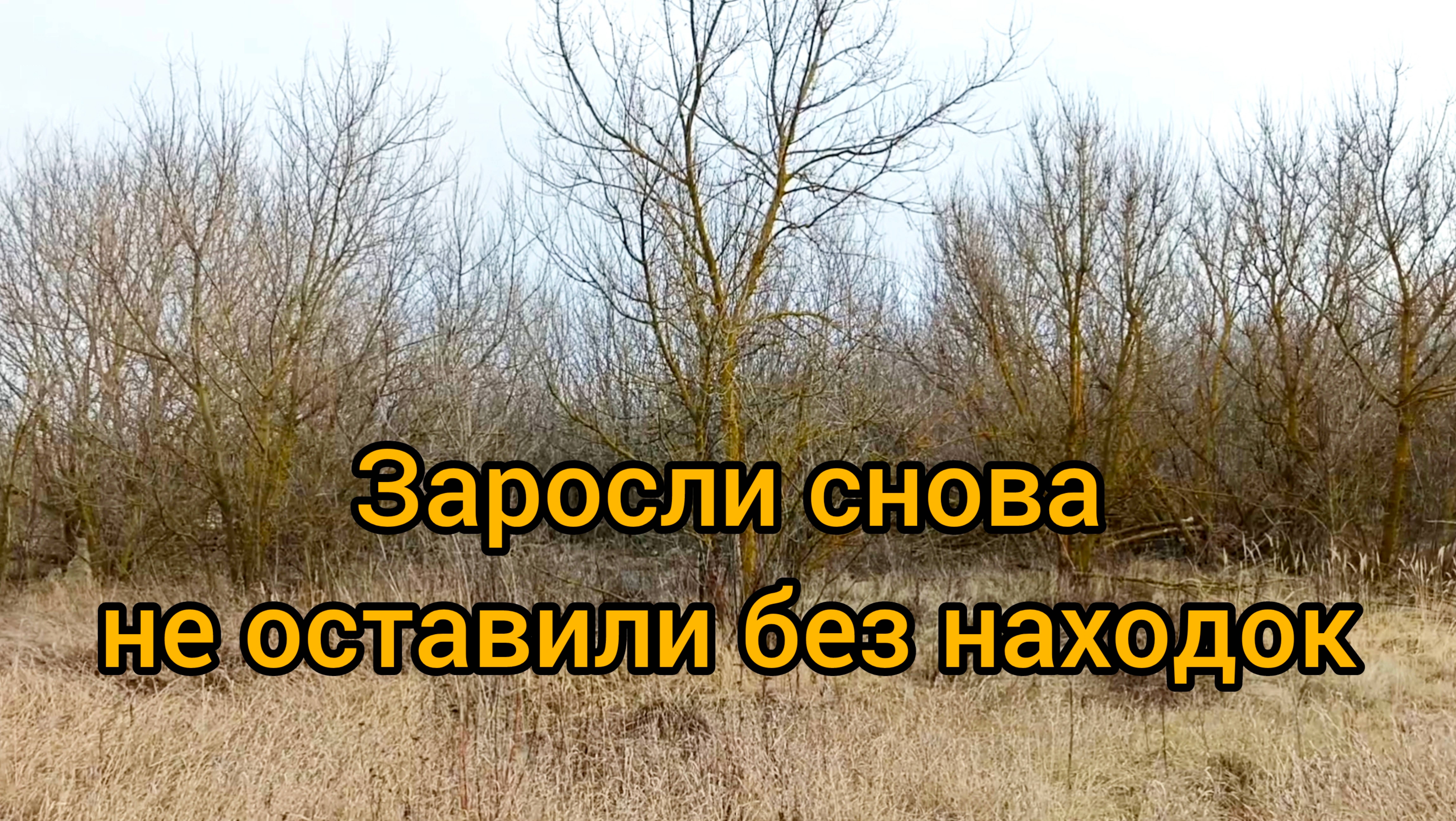 Заросли снова не оставили без находок смотреть онлайн