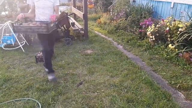 Поругалась с детьми😭Развлечения😺и работа в саду смотреть онлайн