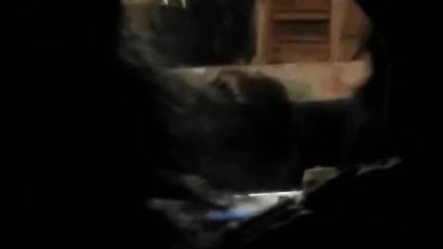 Taller Ciclo – Tombeau de Cecil Taylor смотреть онлайн