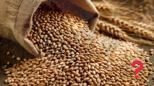 Много - один смотреть онлайн