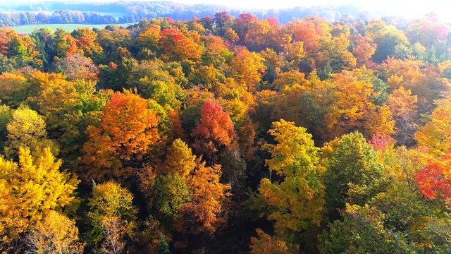 Классическая музыка расслабляет душу и сердце - Моцарт, Шопен, Чайковский, Рахманинов, Бах #96 смотреть онлайн