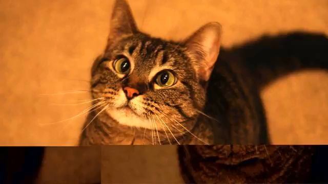 Новая русская музыка 2015. Реальный хит! Советую посмот... смотреть онлайн