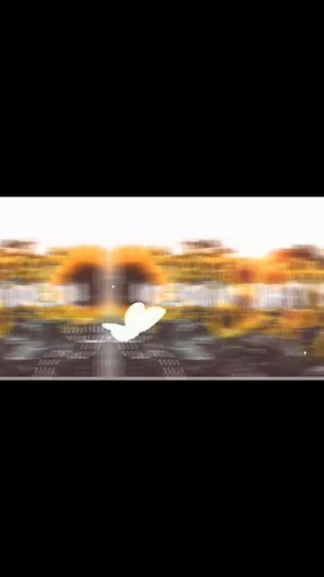 Cute Hamster names! | Sunflwrr смотреть онлайн